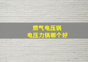 燃气电压锅 电压力锅哪个好